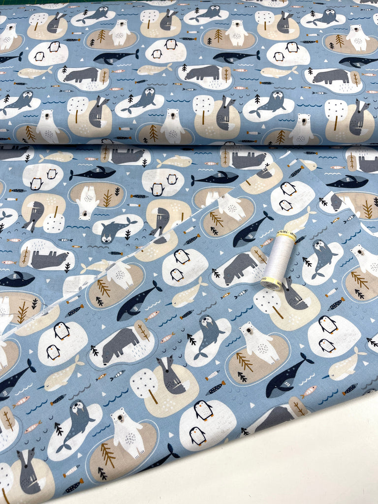 Habitat - Artic Animals