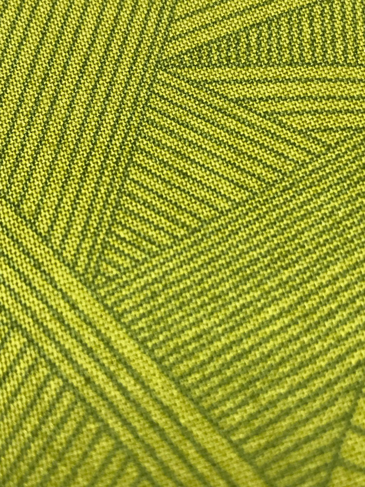 Quantum - Petri - Iguana - Green - Craftyangel