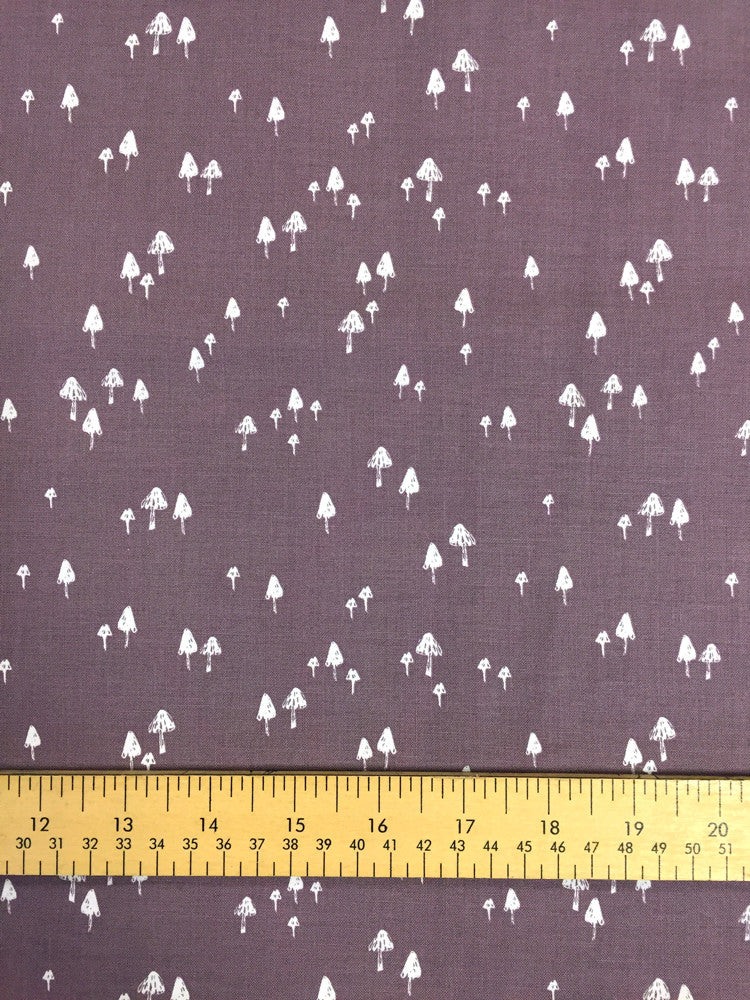 Dashwood - Wildwood - Aubergine